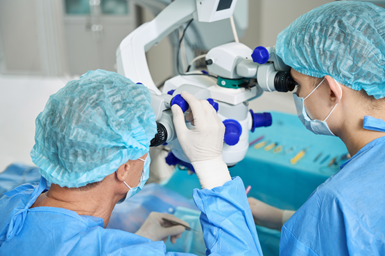 Curso Avançado de Microcirurgia dezembro 2026