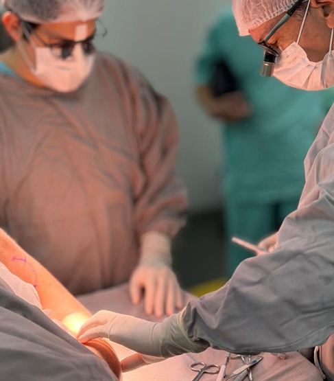 Curso Teórico/Prático de Lesões do Plexo Braquial e Neurotizações do Membro Superior